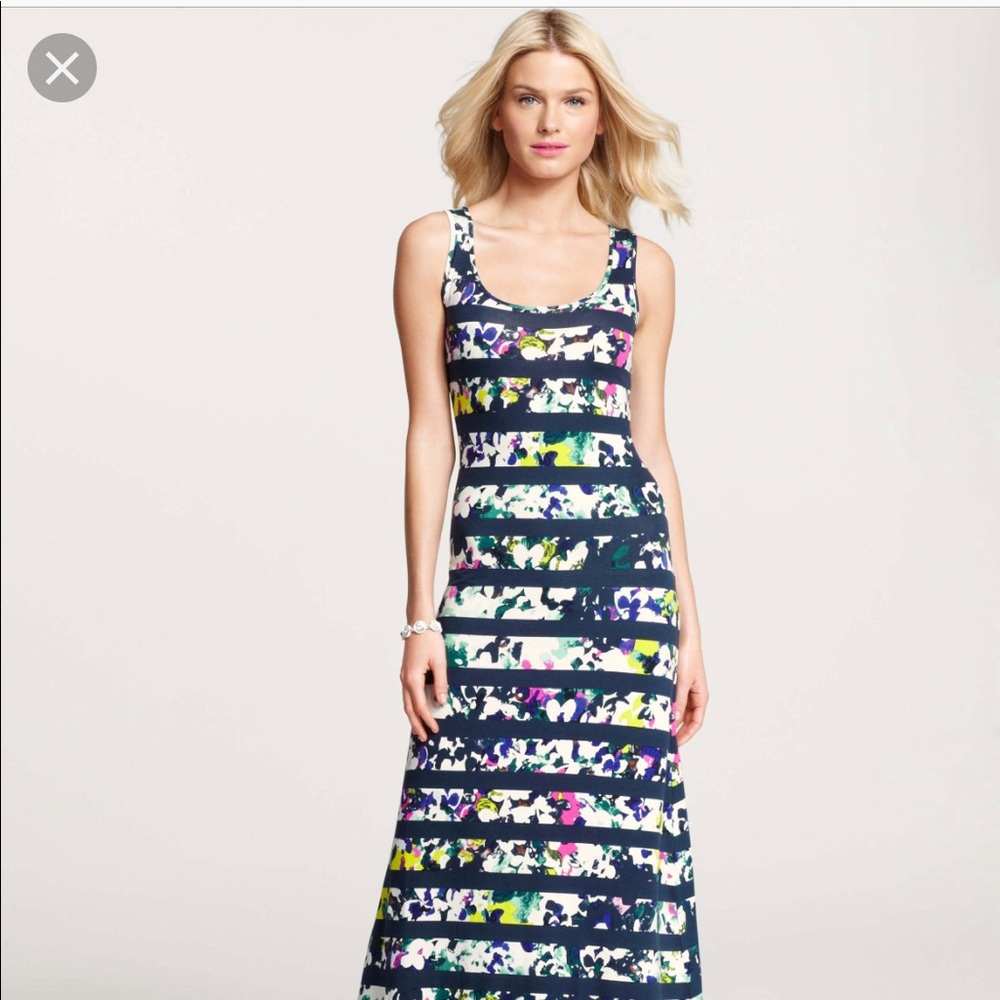 Ann Taylor Blue Floral Stripe Print Maxi Dress